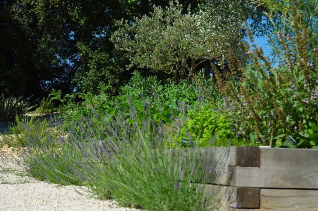 Kitchen garden at la Baye des Anges