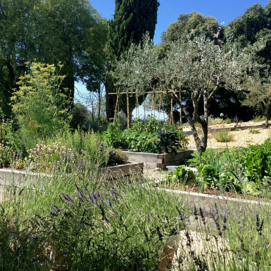 Potager, kitchen garden at La Baye des Anges