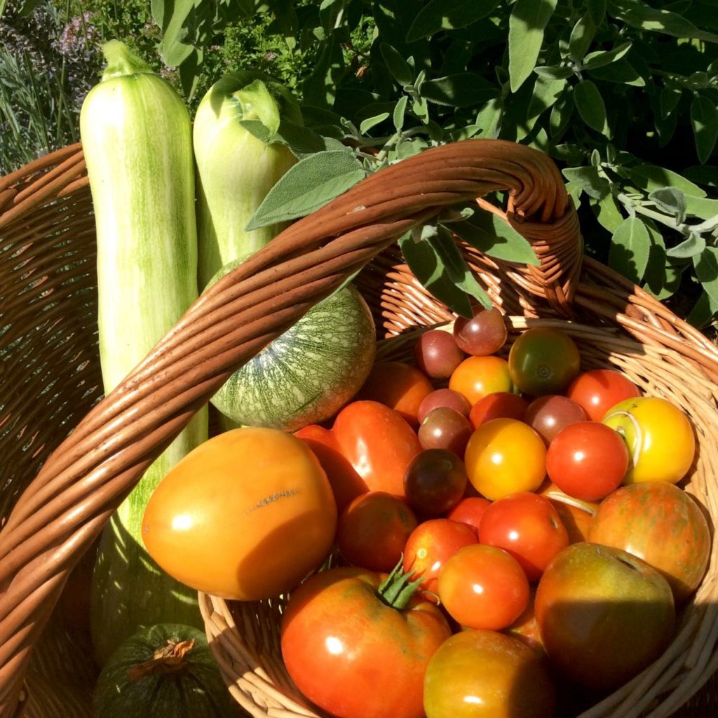 veggies from the kitchen garden