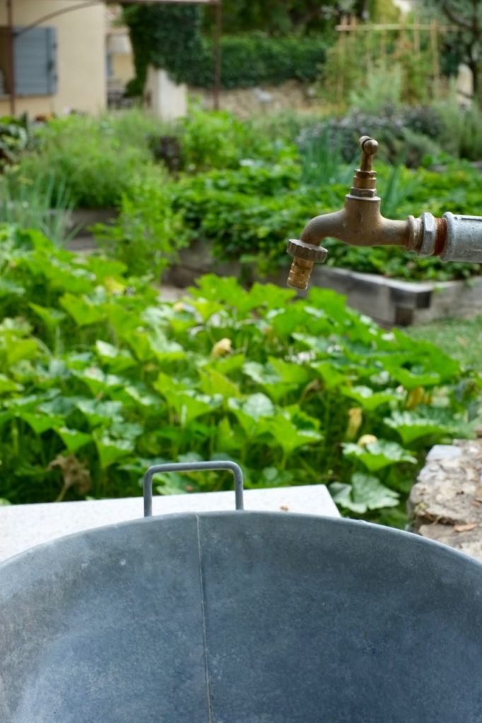 Kitchen garden at la Baye des Anges