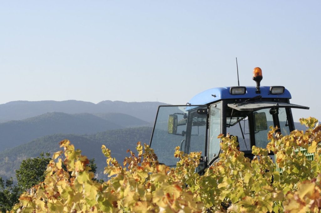 Harvest Mas Pouperas 