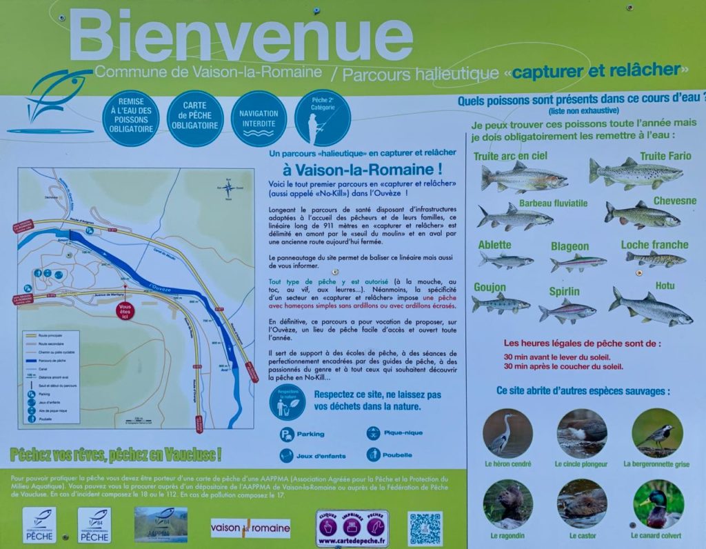No Kill fishing in Vaison-la-Romaine