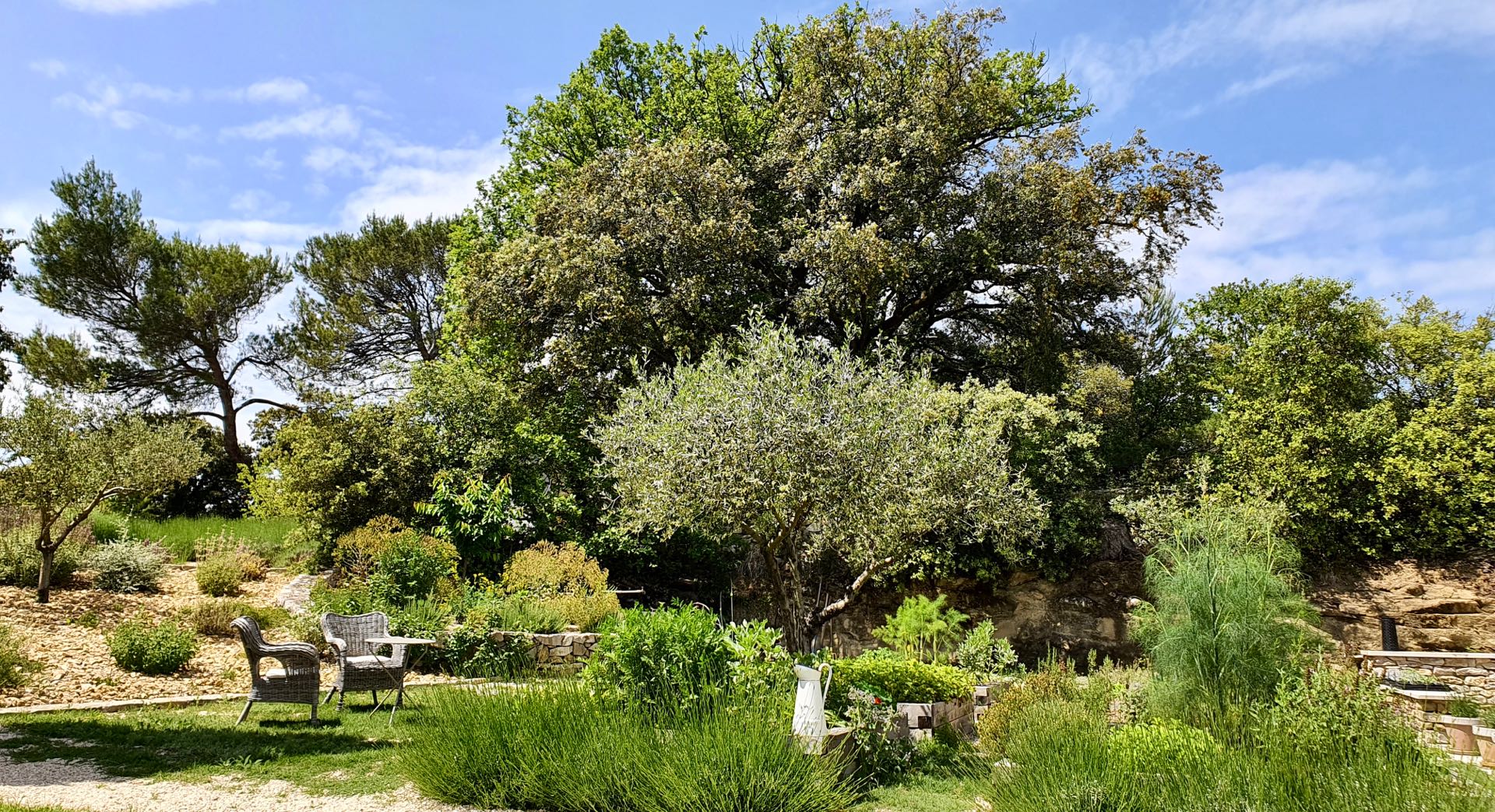 The kitchen garden of la Baye des Anges