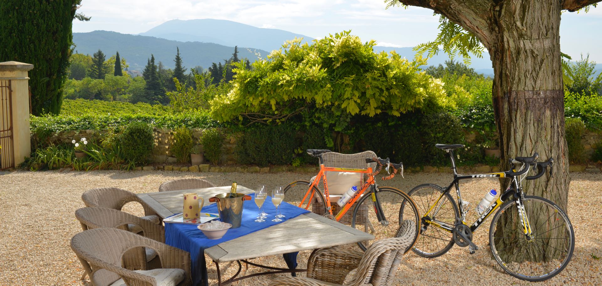 Bicycle in the garden