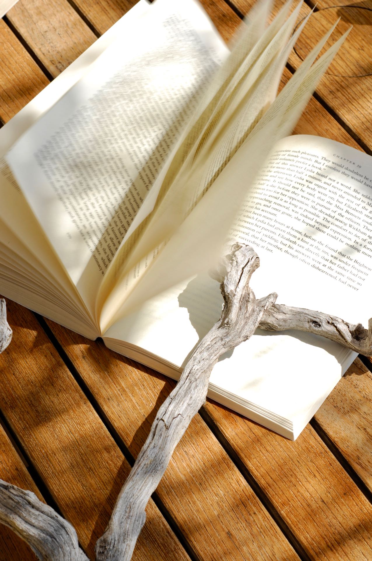 A book on the table