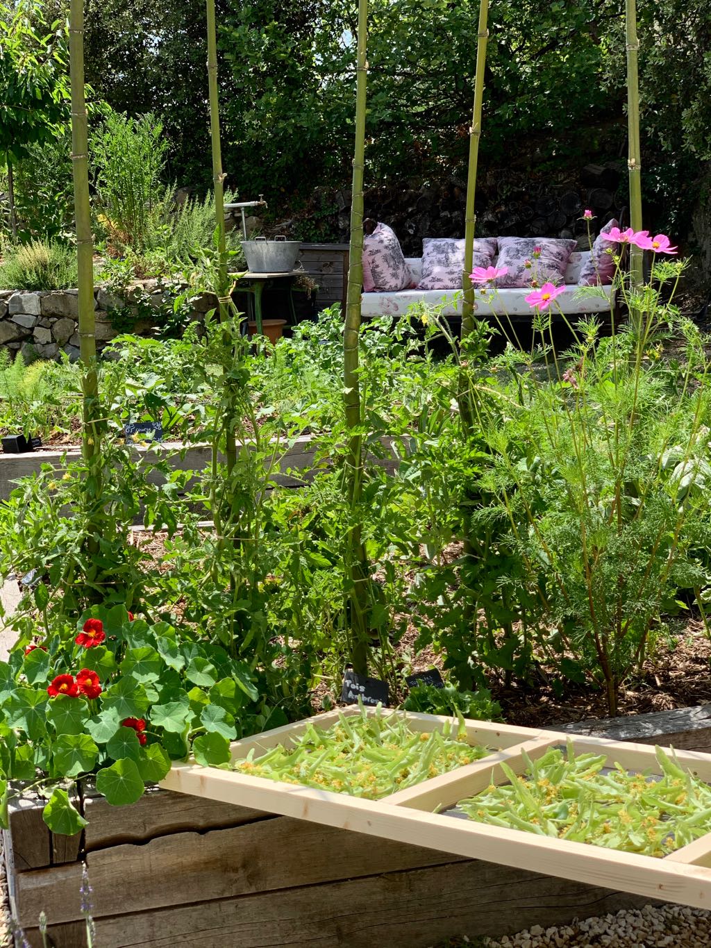 Spring in the kitchen garden