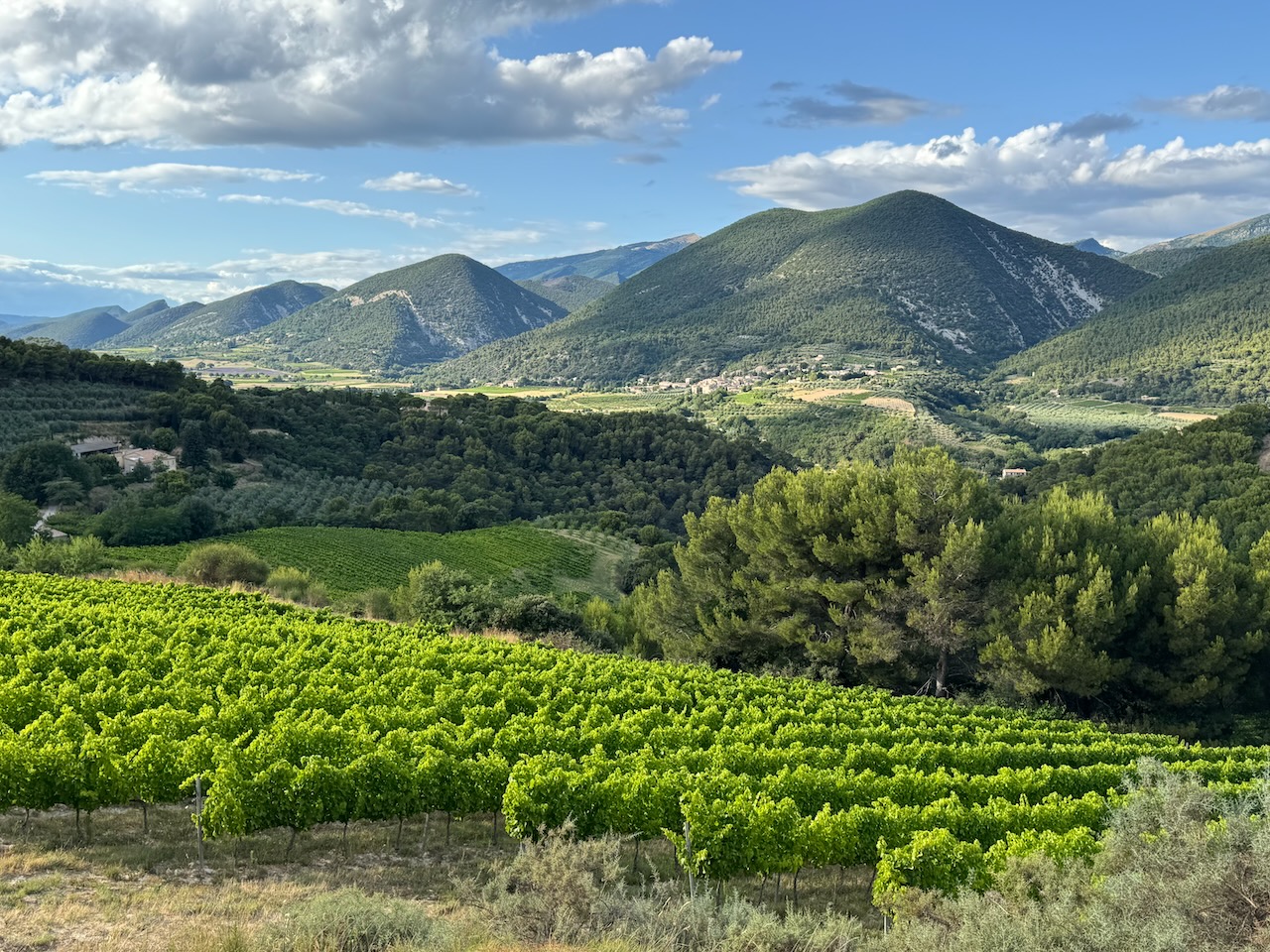 An evening with Coco's Youpi Tours